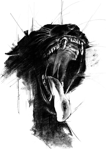 The Untamed