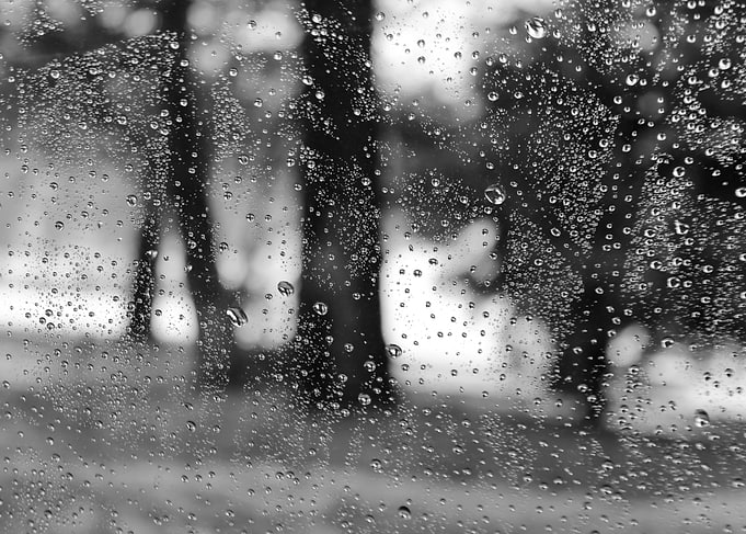 driving through the rain