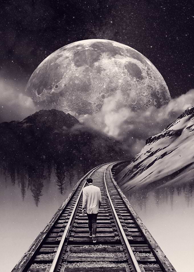 Whimsical Journey