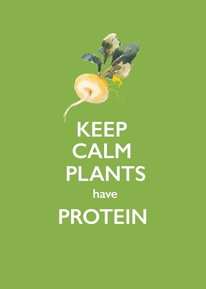 For vegans, who get the question where do you get your ...