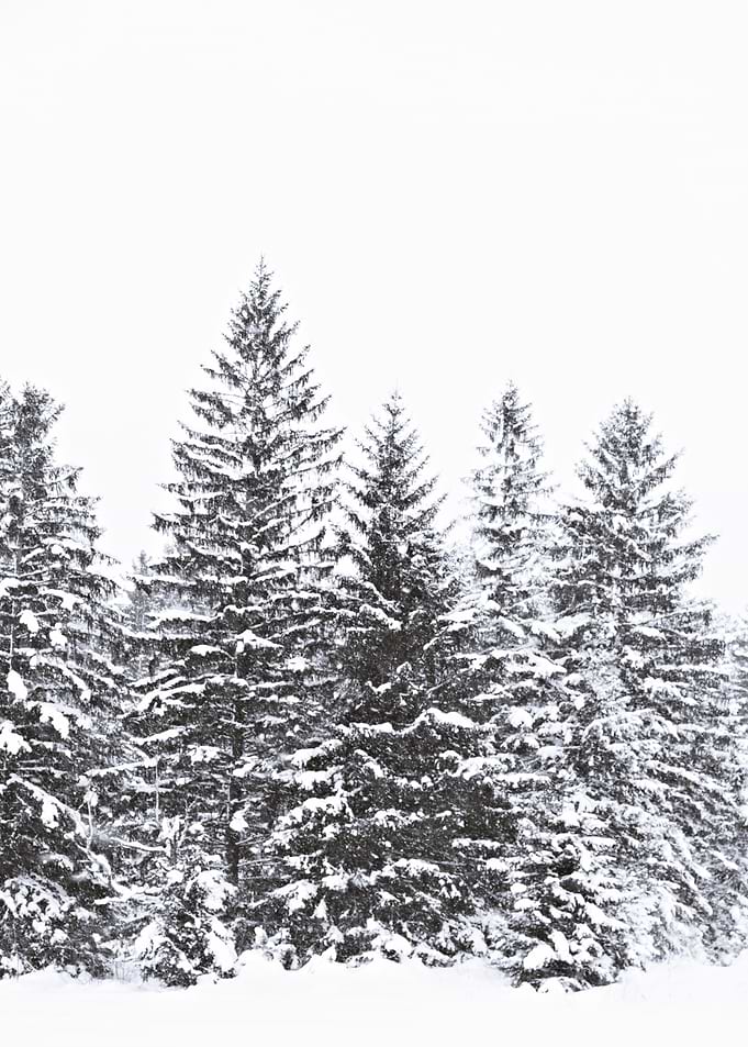BLACK WINTER by Monika Strigel