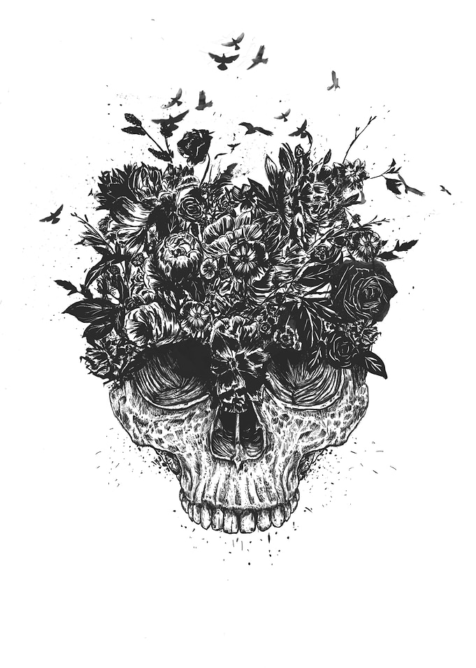 My head is a jungle (b&w)