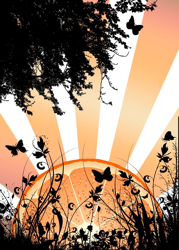 Orange Sunset