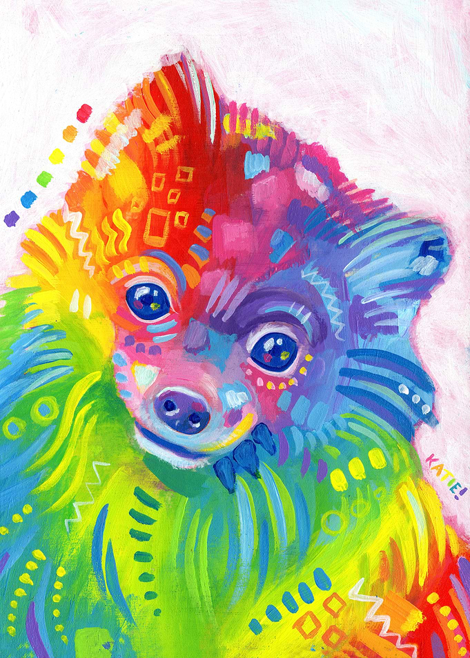 Cookie, my Rainbow Pomeranian