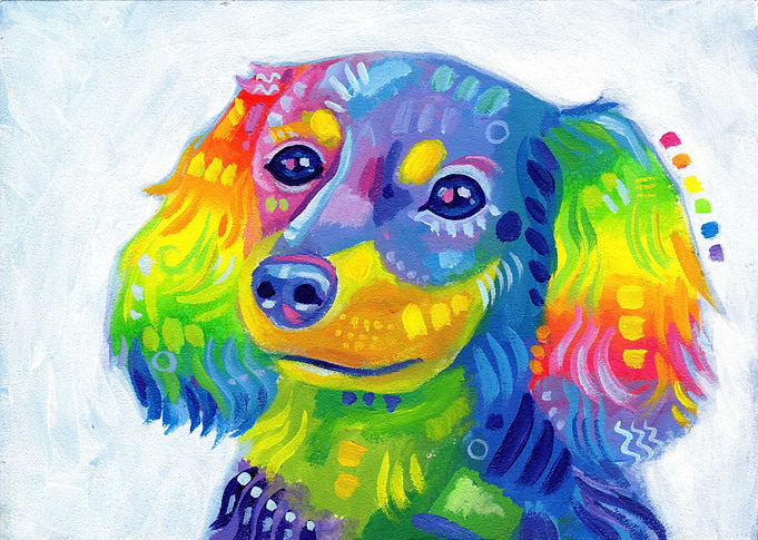 Tank, the Rainbow Chiweenie!