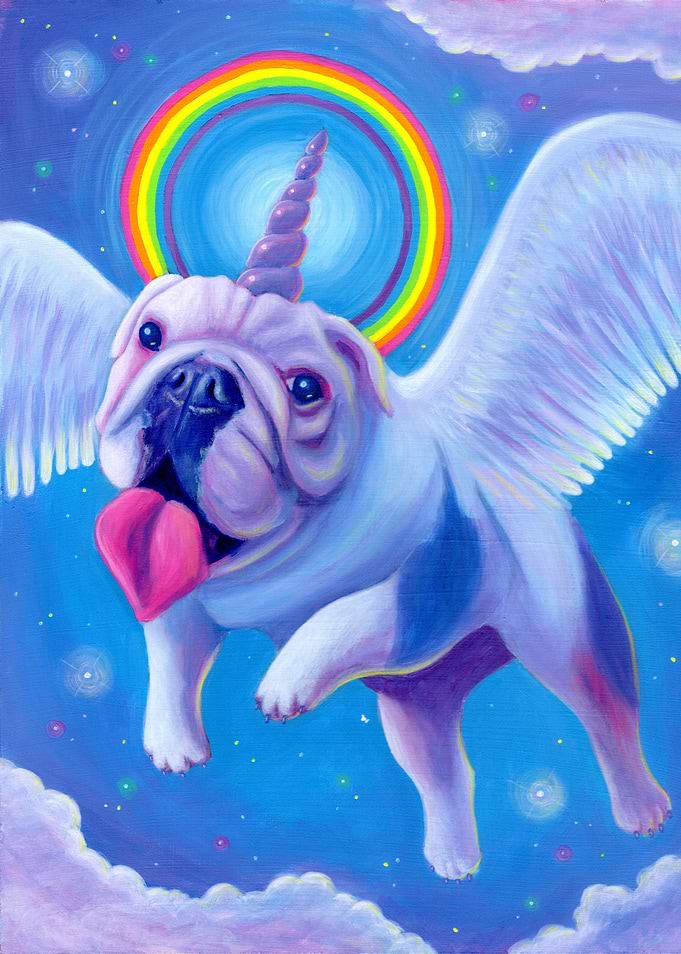 Kittycorn, the Miniature Bulldog Unicorn!