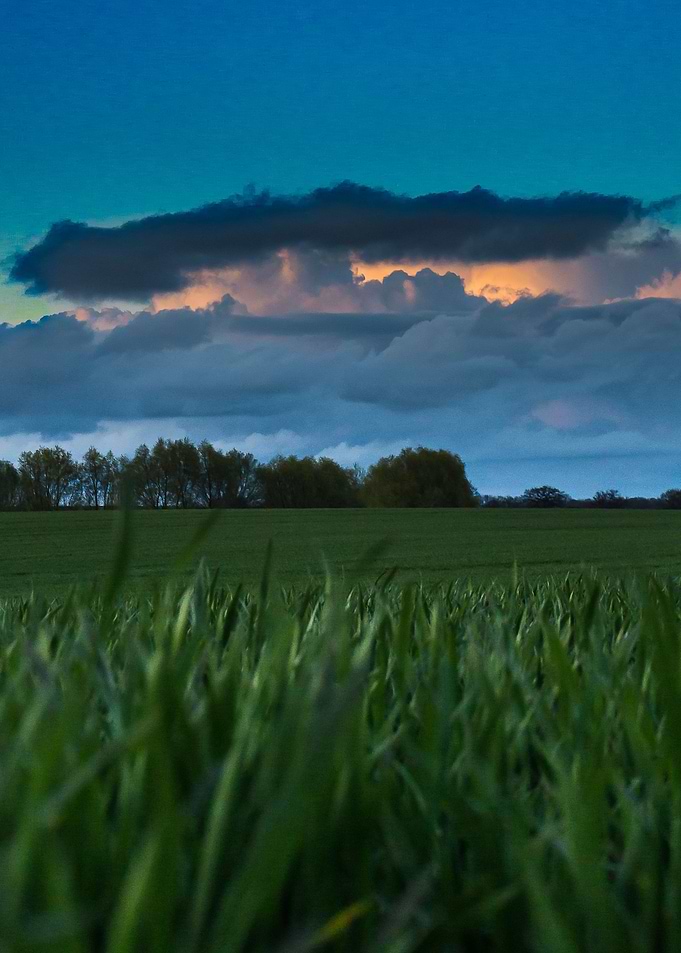Some clouds over a field, coloured by the sunset, forme ...