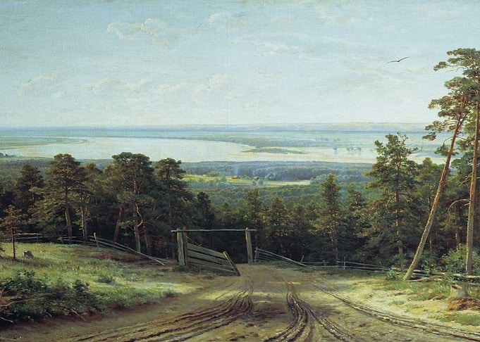 The road to the forest.