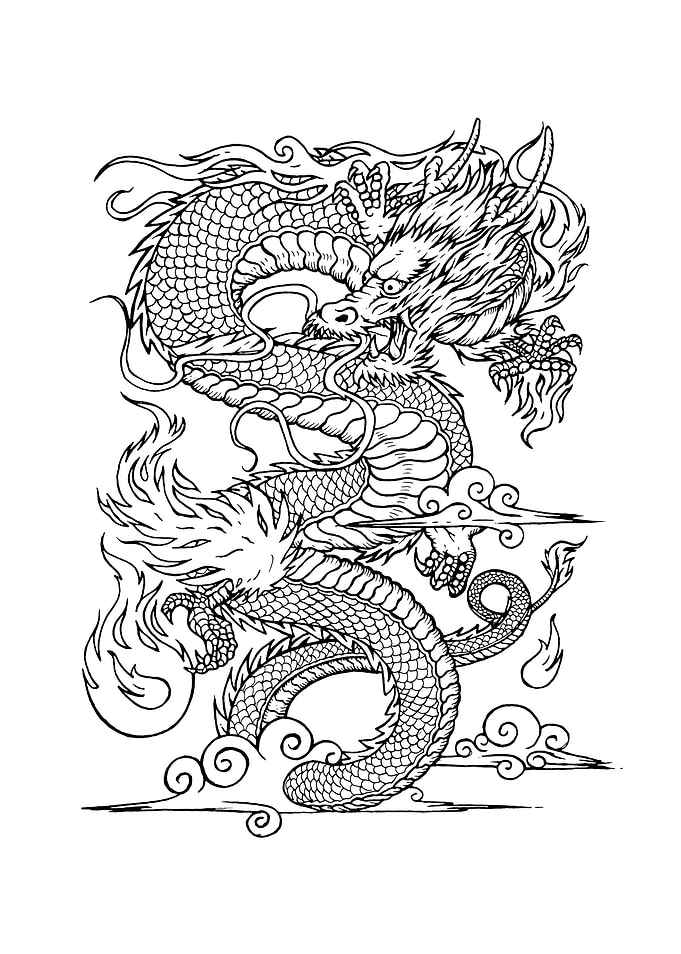 Vintage Chinese Dragon drawing.
