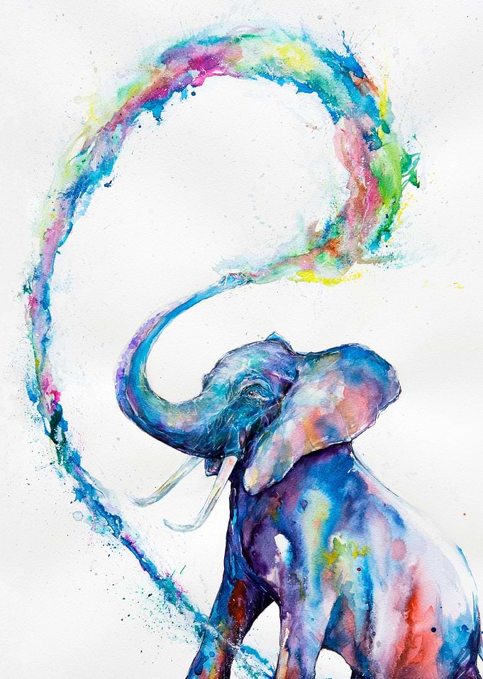 Watercolor elephant print