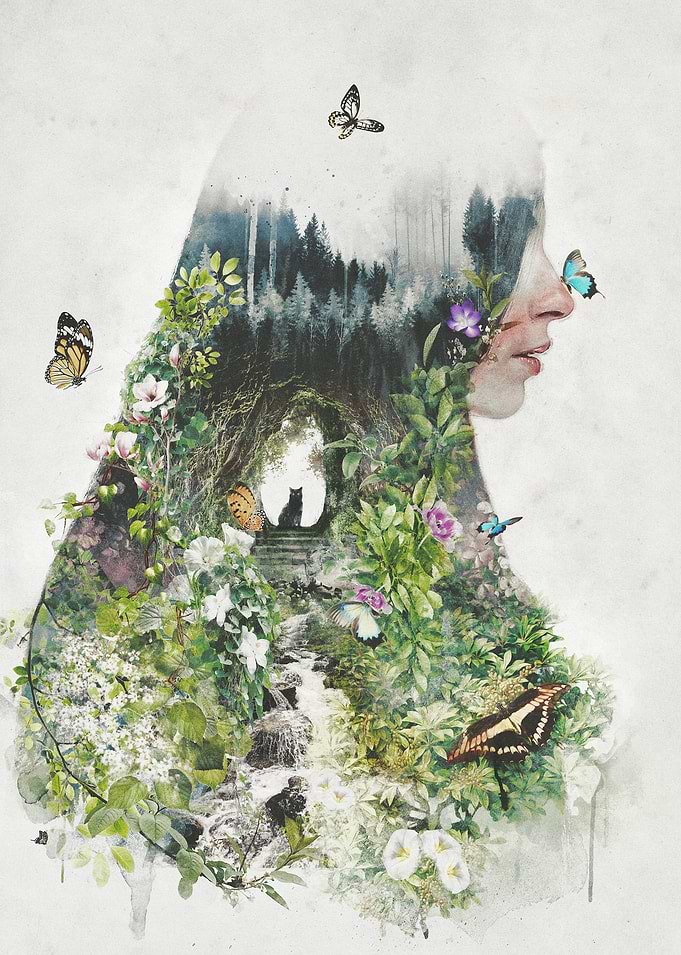 A Cat in the Garden is my original surrealism nature pi ...