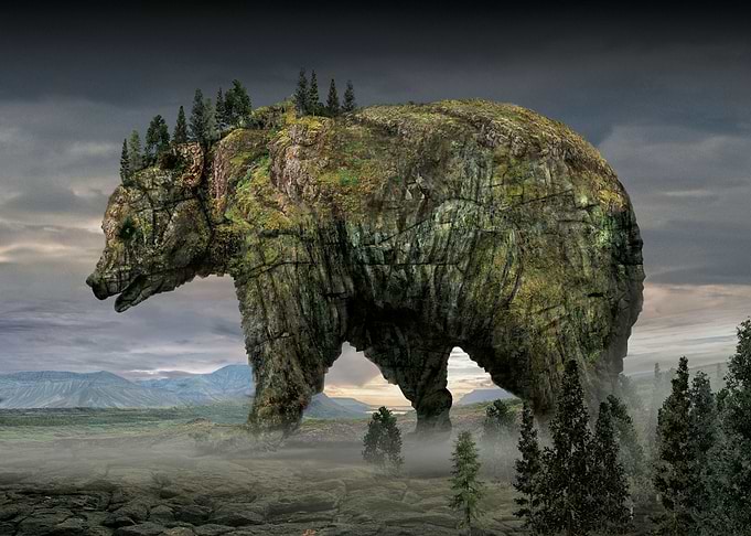 bear serir Animal