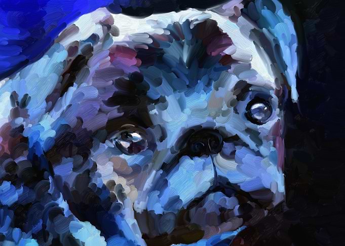 Oil Painting Art Portrait of Pug Puppy - blue and viol ...