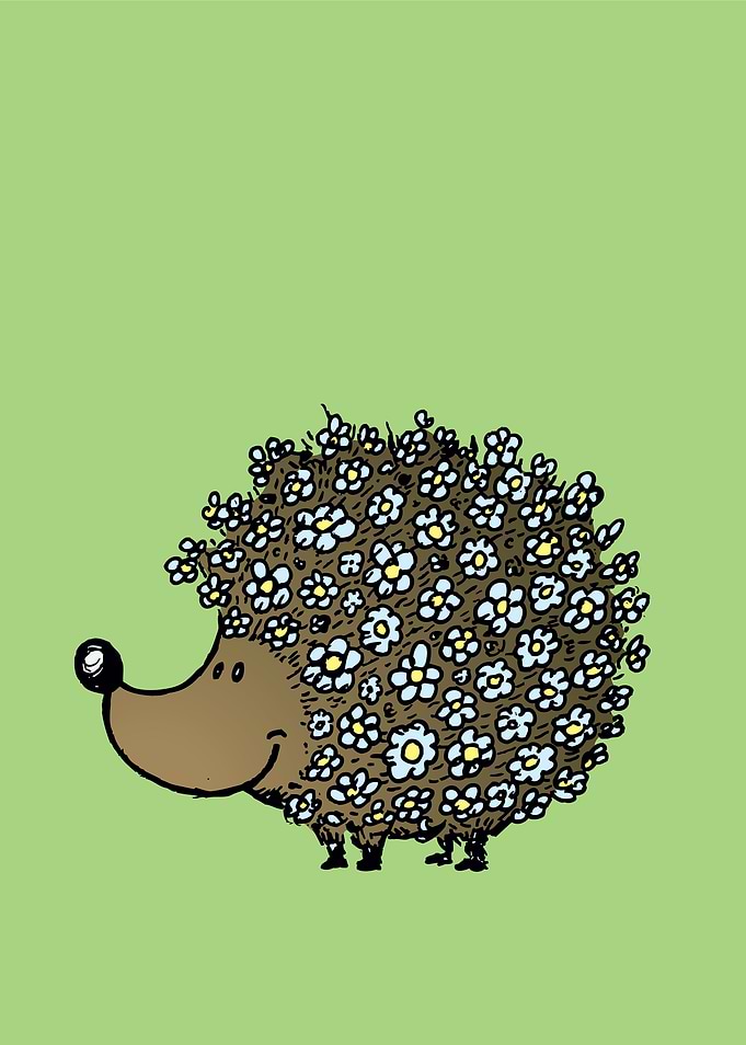 Daisy