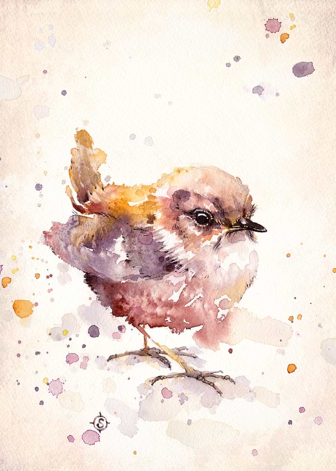 'Fluffy Le Wren' Water Colour Art