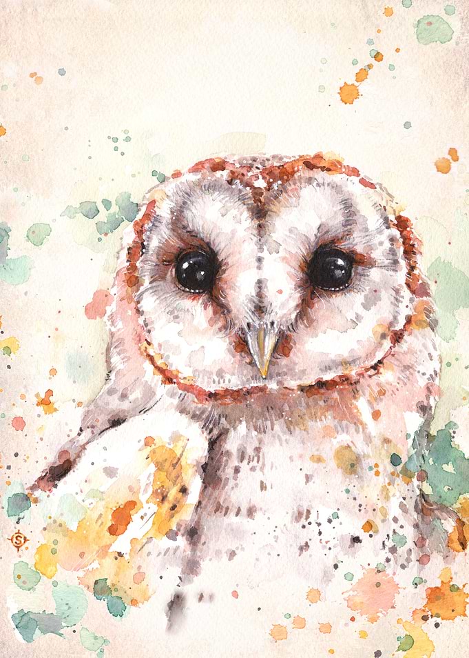 'Australian Barn Owl' Water Colour Art