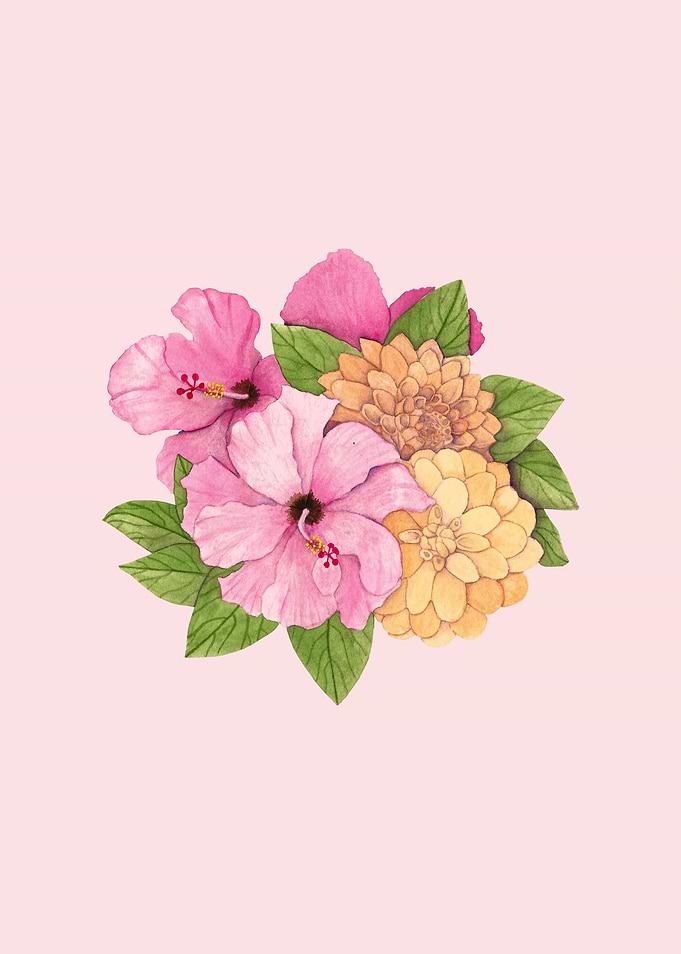 Hibiscus