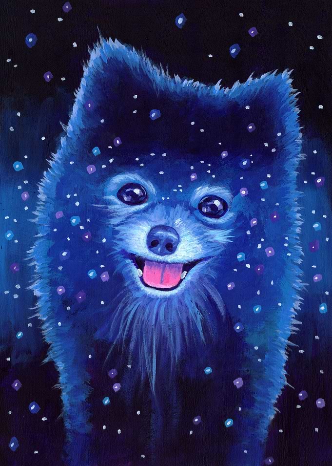 Space Pomeranian!