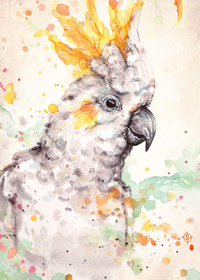 'Clowning Around (Sulphur Crested Cockatoo)' Water Co ...
