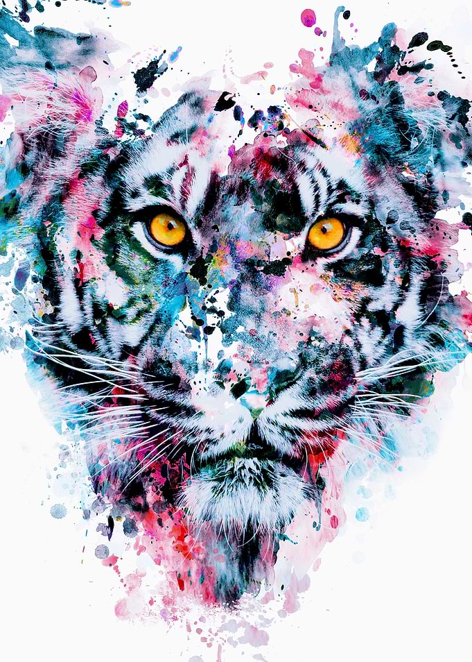Tiger Blue