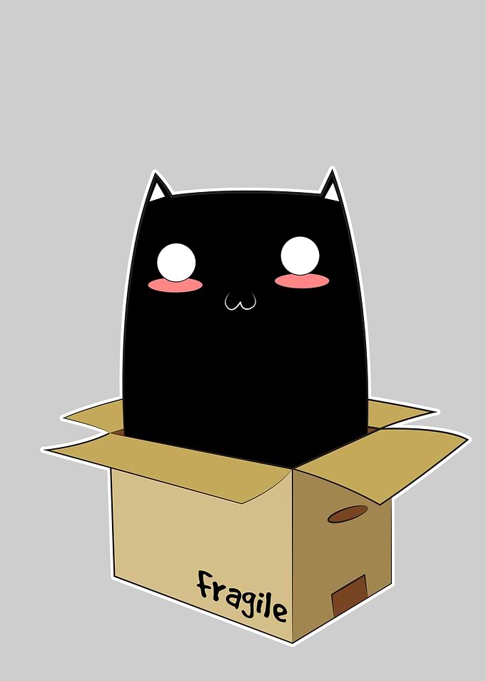 Black Cat in a Box. An ordinary Black Kitten with super ...