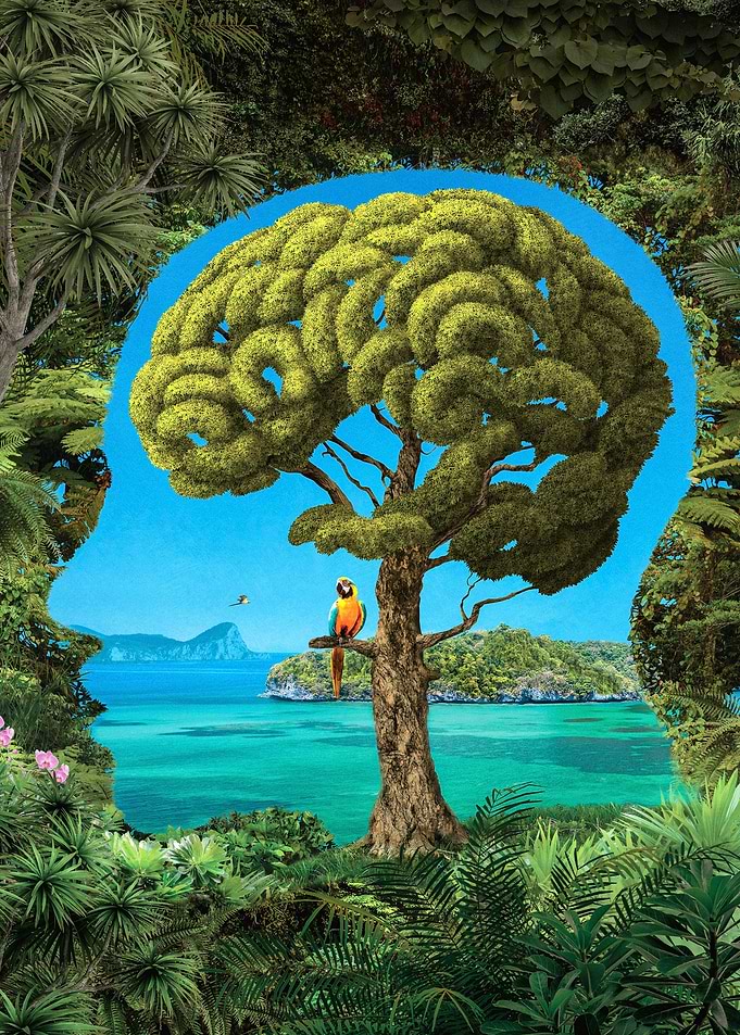 illustration 2014