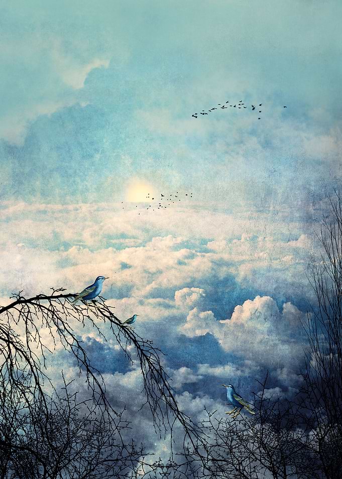HEAVENLY BIRDS III-A1