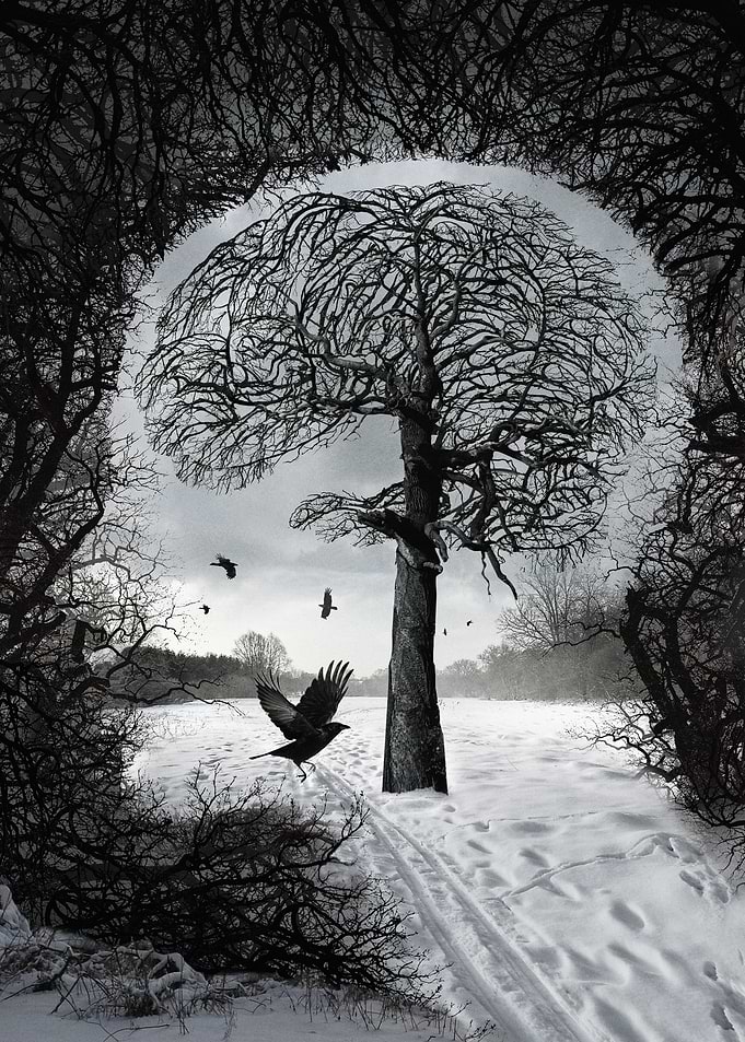 illustration 2014