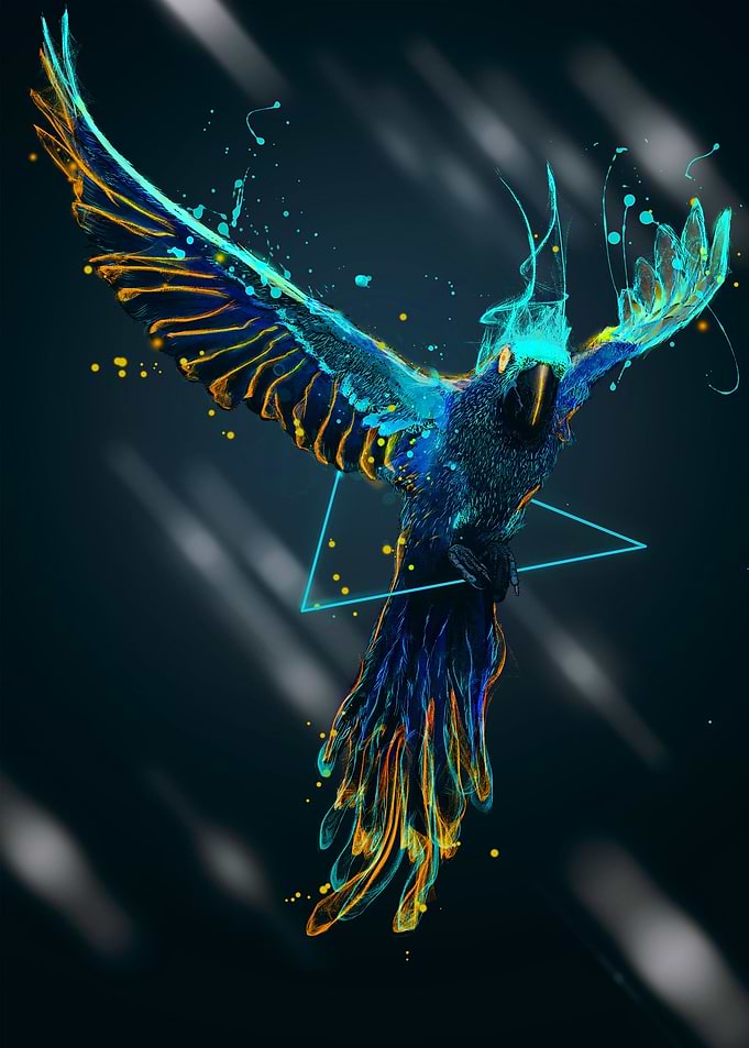 \\FLIGHT//