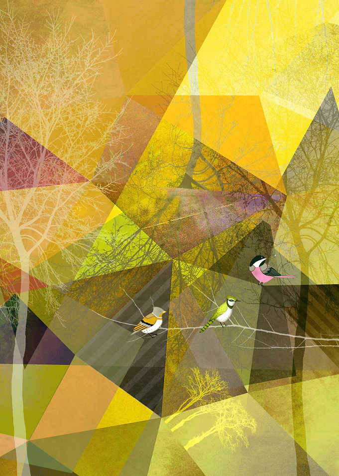 BIRDS P20 Portrait