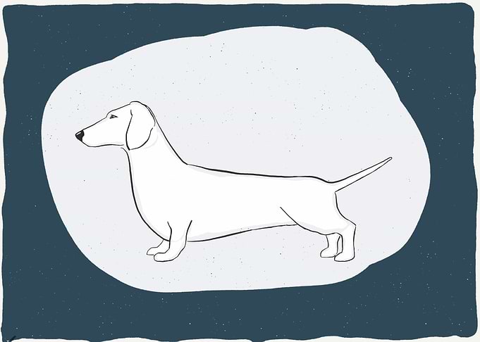 Art of an dachs
