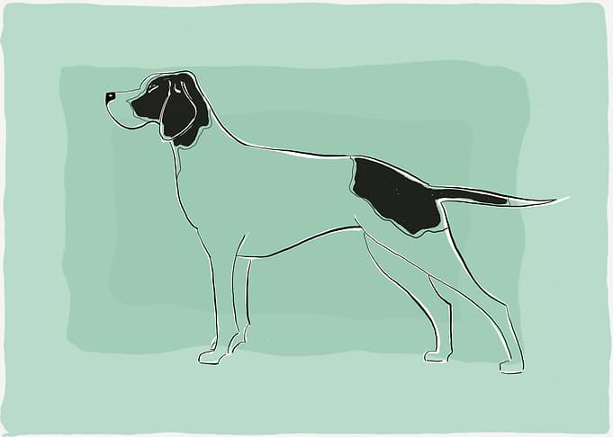 Art of an pointer