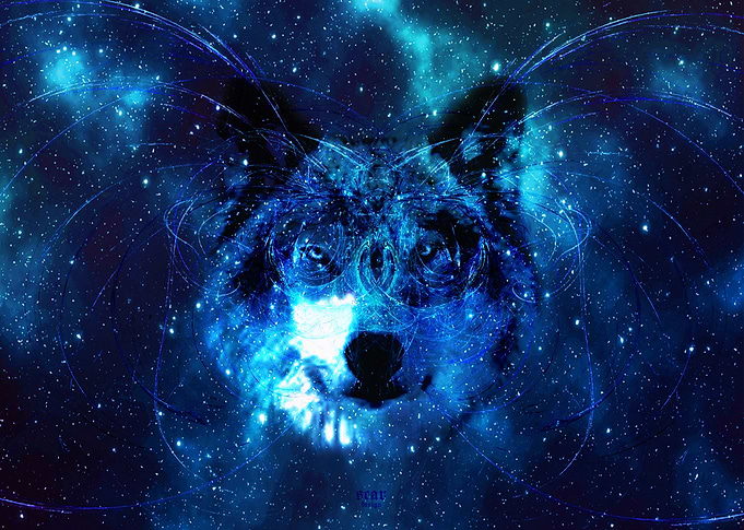 We are All made of Stars-Wolf