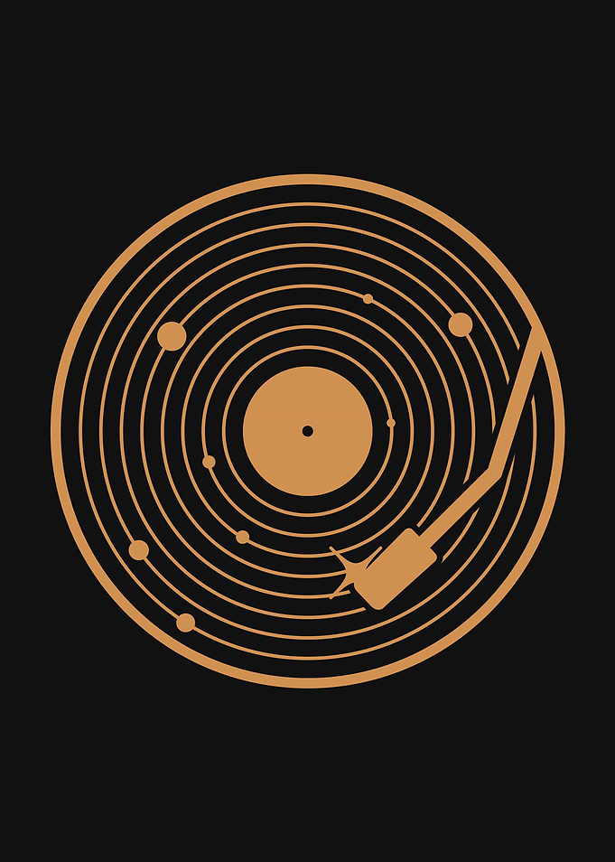 The Vinyl Sytem