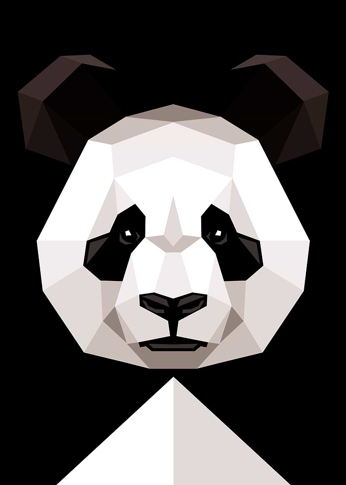 Poligons Panda