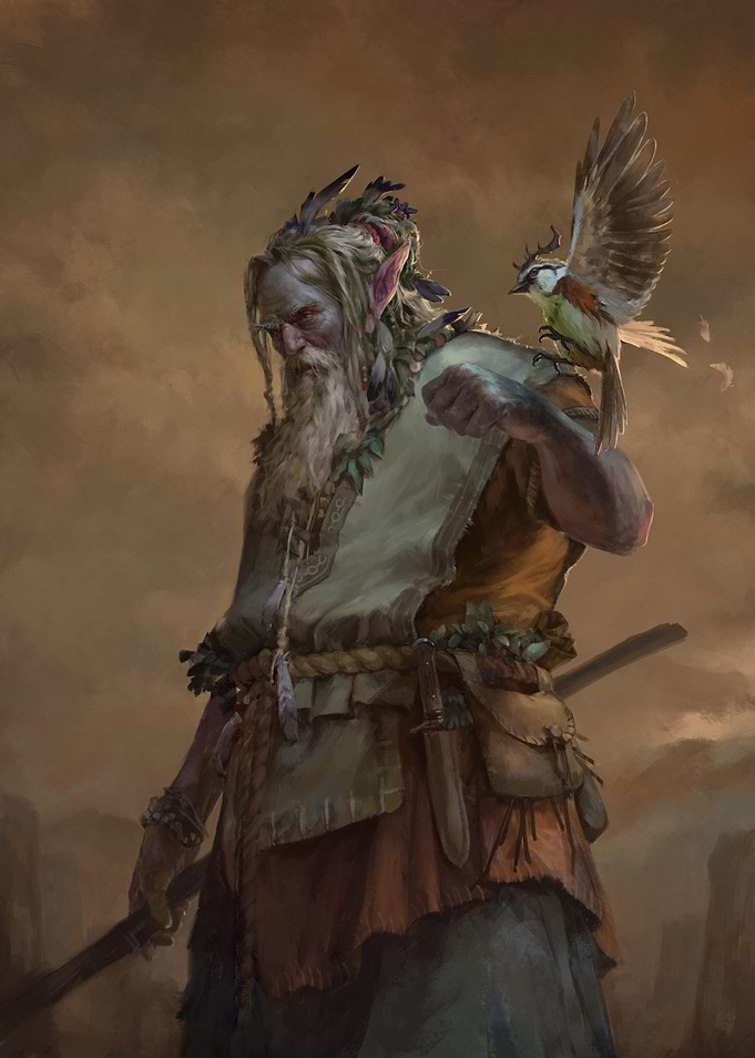 Druid