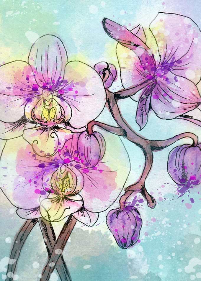 Orchids 05