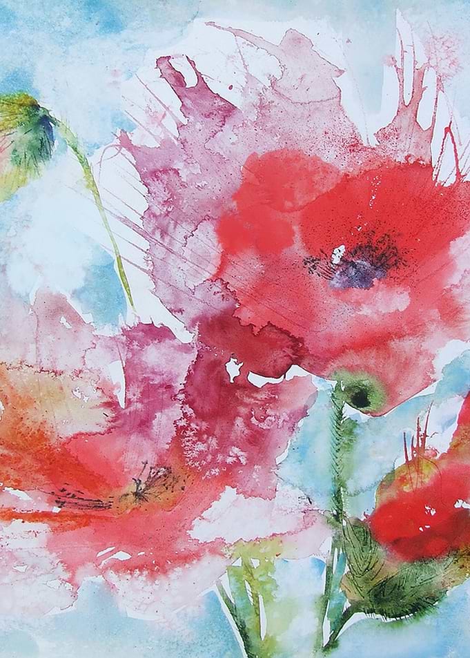 Poppies 04