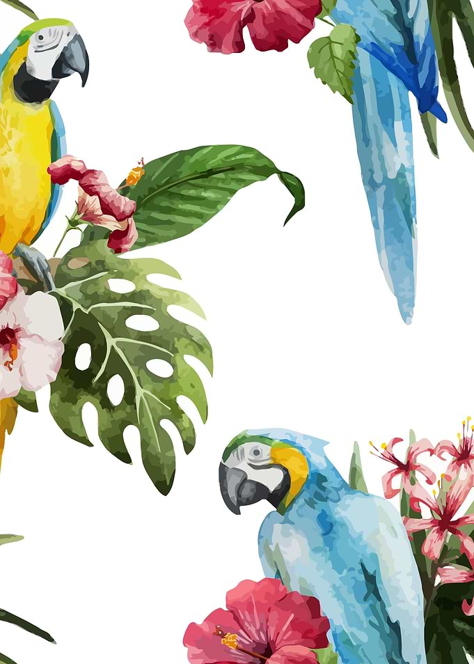 Tropical Bird Pattern 02