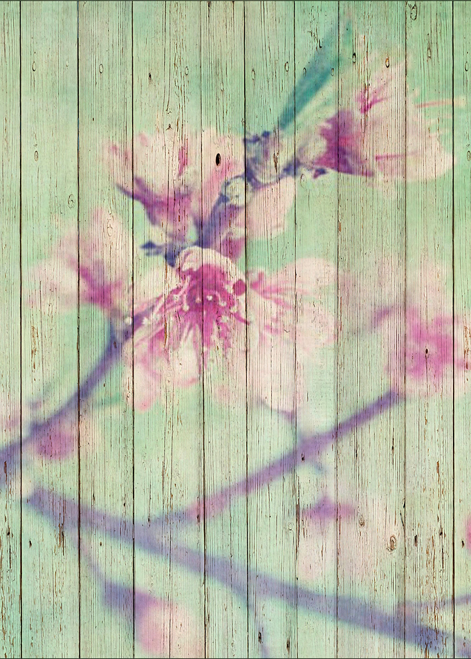 Sweet Flowers on Wood 05
