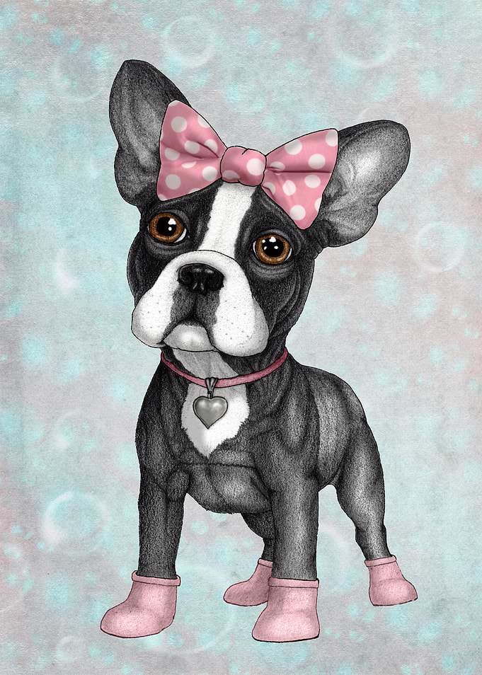 'Sweet Frenchie' illustration by Barruf.