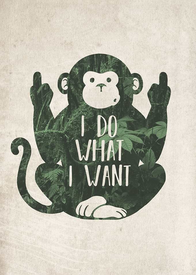 I do what i want