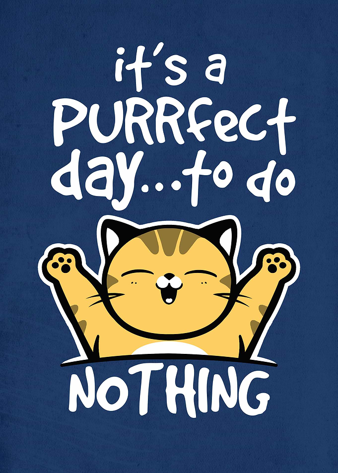 It's a purrfect day to do nothing