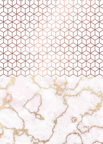 MARBLE & ROSEGOLD HEXAGONA