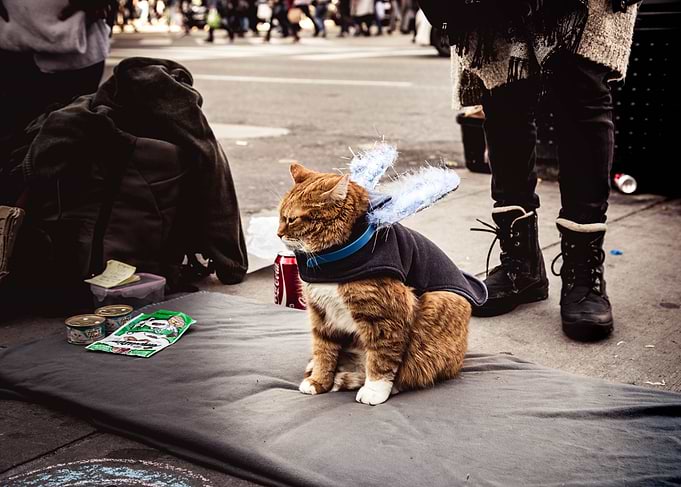 Out on Dundas Square you will see a few performers and ...