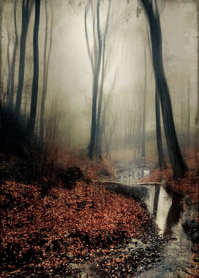 Sound of Silence