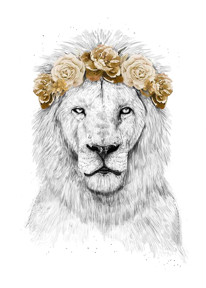 Festival lion (color version)