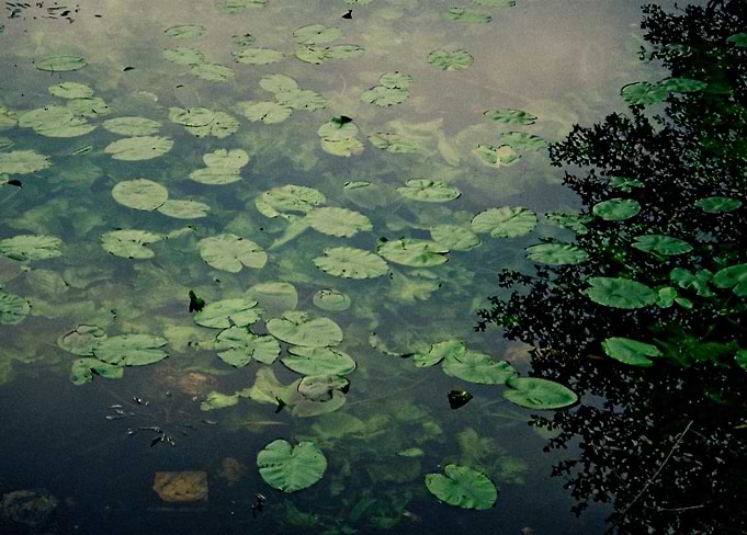 lake