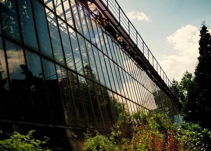 greenhouse