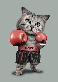BOXING CAT